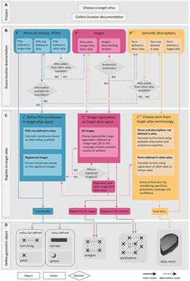 The Locare workflow: representing neuroscience data locations as geometric objects in 3D brain atlases